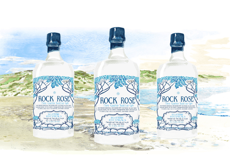 Rock Rose Gine Bottles Sarah Smart Illustrations