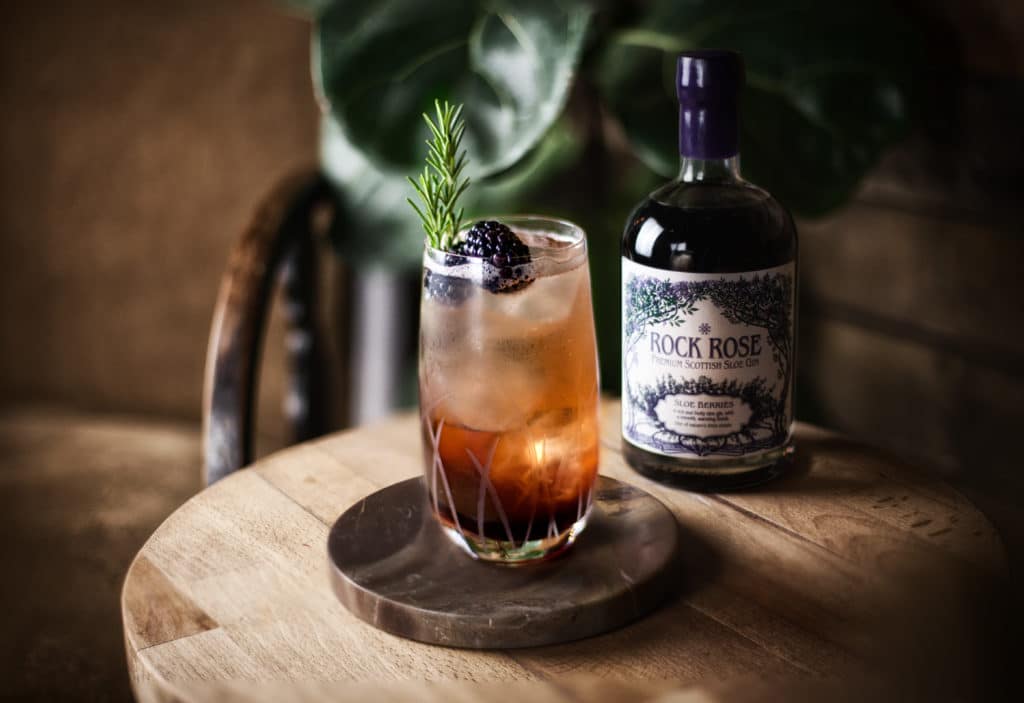 Try it as a traditional gin and tonic.  We particularly recommend Cushiedoo's tonic as we found it worked very well with our Sloe Gin. 