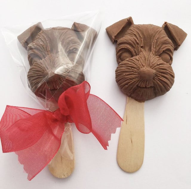 Two Mr Mackintosh Chocolate Lollipup shaped as a dog face on a wooden stick