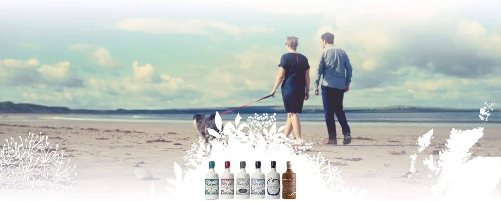 Scottish Gin & Vodka, Handcrafted With Highland Botanicals - Dunnet Bay ...