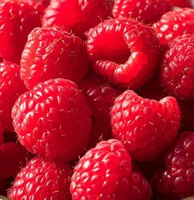 Bunch of raspberries